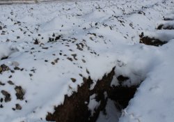 Erzurum'da 'kışa hazırlık' için 1800 mezar kazıldı