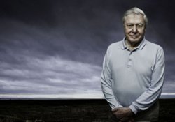 Attenborough: Güneş ışınlarının 5 binde biri insanlığı kurtarır