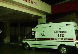 Türkiye domuz gribine iki kurban daha verdi