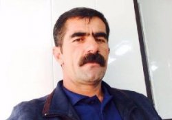 Şemdinli'de HDP İlçe Eşbaşkanı tutuklandı