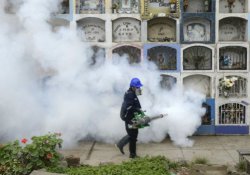 Brezilya'da Zika salgını: Özürlü doğan bebek sayısı artıyor