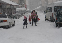 Yüksekova'da kar yağışı 2'nci gününde