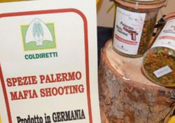 'Mafya ürünleri İtalya’ya 60 milyar euro gelir kaybettiriyor'