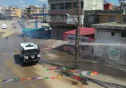 Adana'da Newroz'a polis müdahalesi