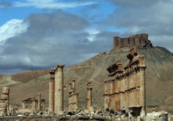 Suriye ordusu 'Palmyra'ya girdi'
