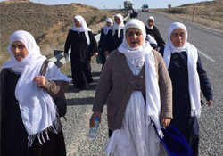 Yüksekova'ya yürümek isteyen Barış Anneleri, Yeniköprü'de engellendi