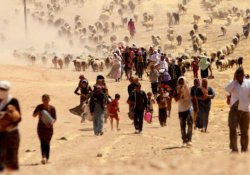BM: IŞİD Ezidilere Soykırım Yaptı