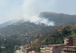 Şemdinli Bermêş kırsalında orman yangını
