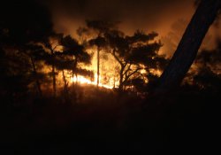 Kazdağları’nda orman yangını: 20 hektar alan kül oldu