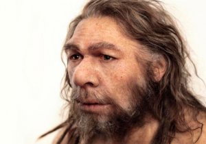 'Neandertaller aptal yaratıklar değil'