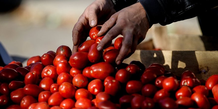 Türkiye'den Rusya'ya domates teklifi