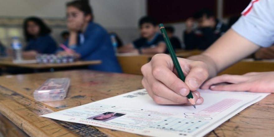 Cizre’de 9 öğrenci TEOG’da Türkiye birincisi oldu
