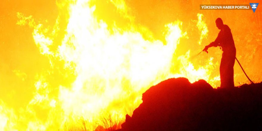 Bodrum’daki yangında 12 futbol sahası kadar alan küle döndü