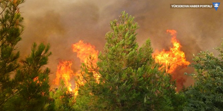 Adana Kozan'da orman yangını çıktı