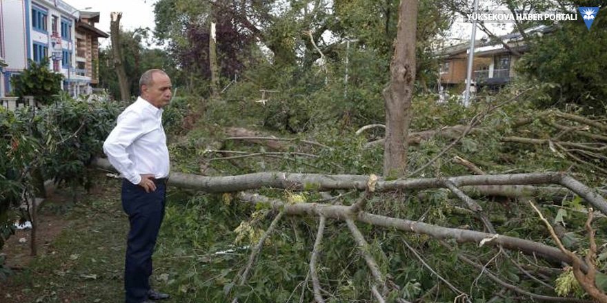 Kadıköy'de yüzlerce ağaç devrildi