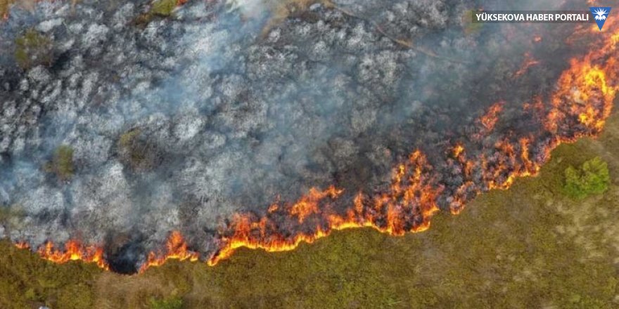 Sinop’ta orman yangını: 10 hektar kül oldu