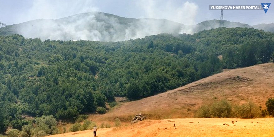 Tunceli Valiliği: Orman yangınları kısmen kontrol altına alındı