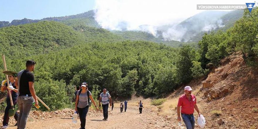 Dersim'deki orman yangınları büyüyor: Yerleşim yerleri tehdit altında