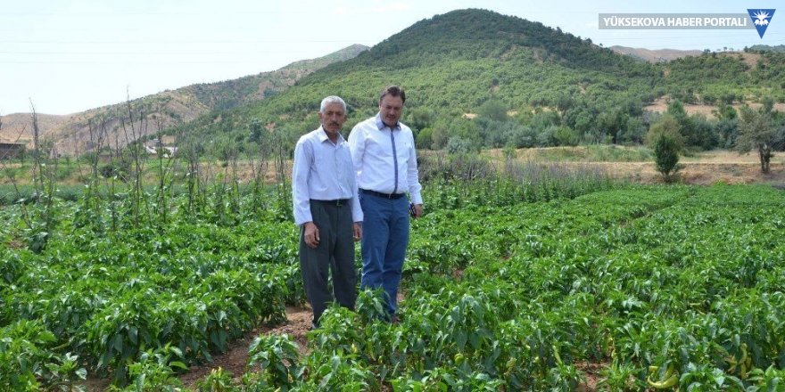Bitlis’te ‘Yerli Tohum Projesi’ hayata geçirildi