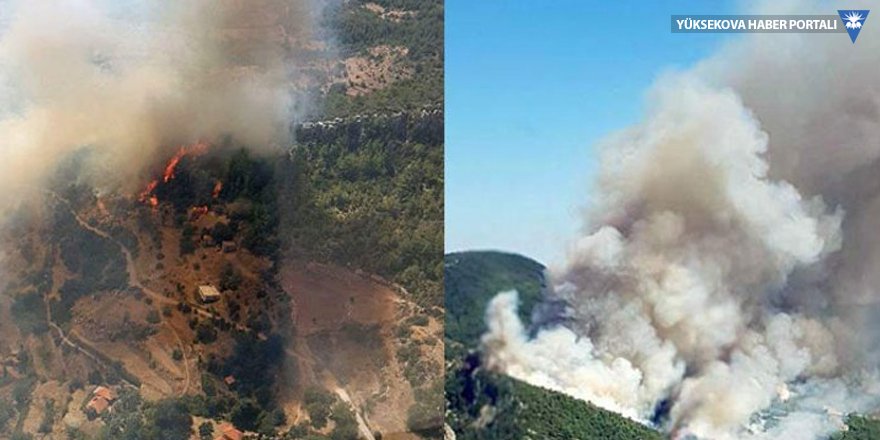 Muğla'da orman yangını yerleşim yerlerine sıçradı