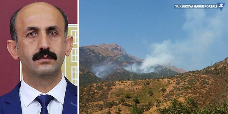Akdoğan, Şemdinli'deki Orman yangınını sordu