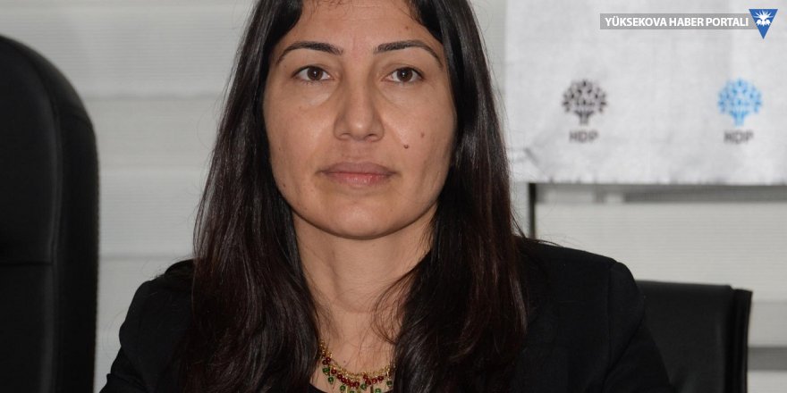 HDP Şırnak Milletvekili Leyla Birlik gözaltına alındı