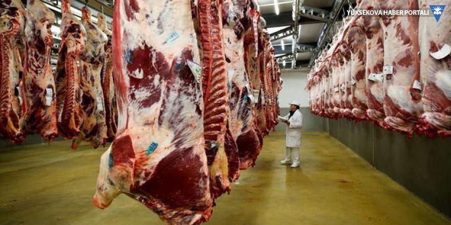 Türkiye'nin Polonya'dan ithal ettiği 3 bin sığır etinde deli dana hastalığı çıktı