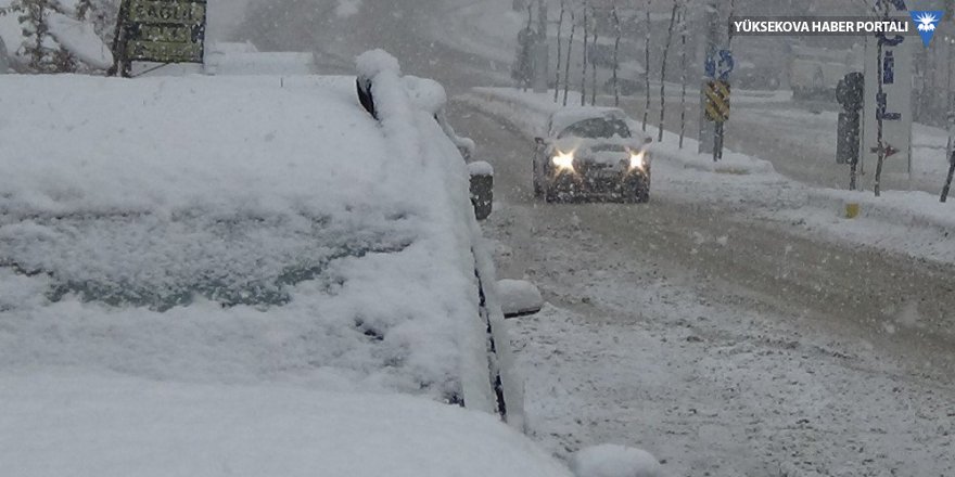 Yüksekova'da kar ve sis hayatı olumsuz yönde etkiliyor