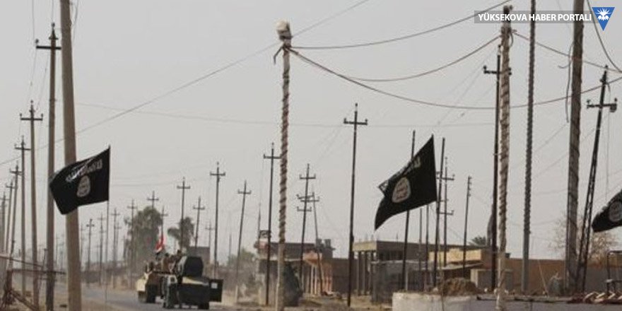 Times: IŞİD yeniden örgütleniyor
