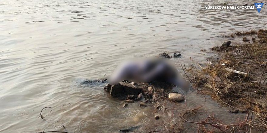 Cizre’de Dicle Nehri’nde erkek cesedi bulundu