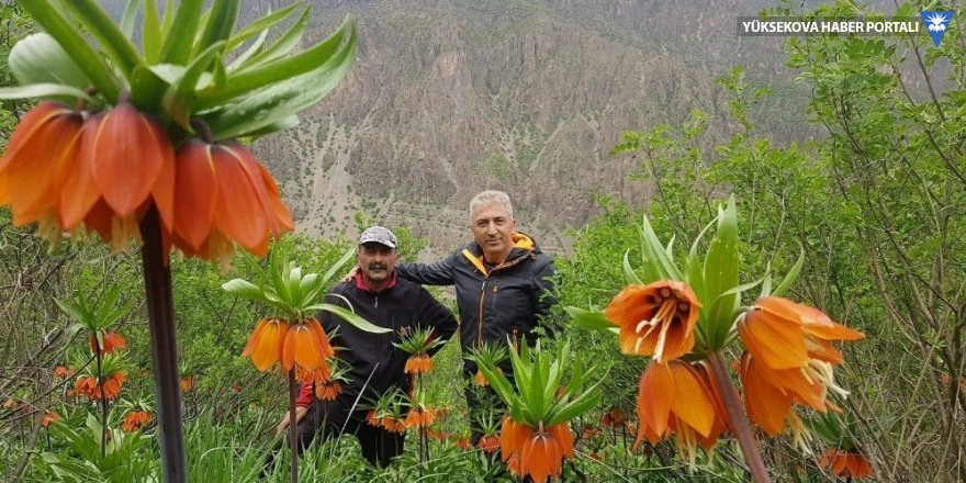 Hakkarili dağcılardan Çiçek Vadisine ziyaret