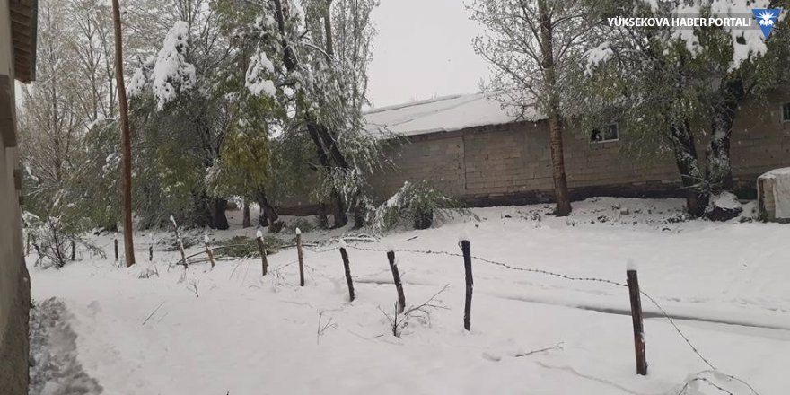 Yüksekova’da kar yağışı - 22-04-2018