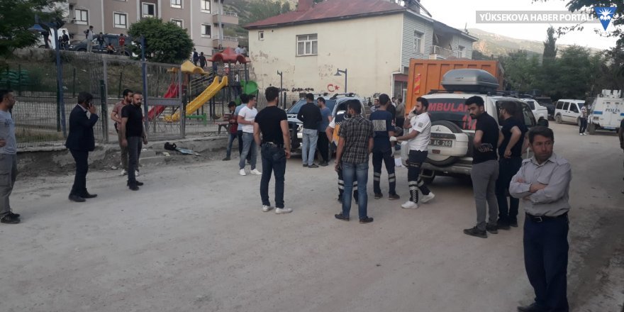 Şemdinli'de kamyon 4 yaşındaki çocuğu ezdi
