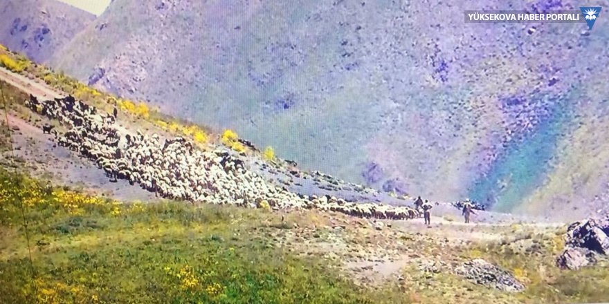 İran askerleri Şemdinli'de köy sakinlerinin koyunlarına el koydu