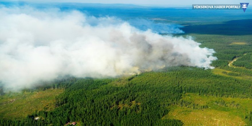 İsveç'te orman yangınları büyüyor