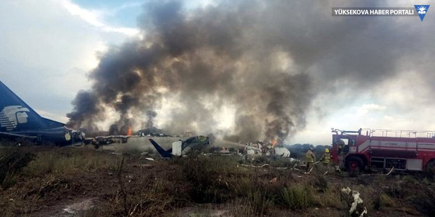 Meksika'da 97 yolcu taşıyan uçak düştü
