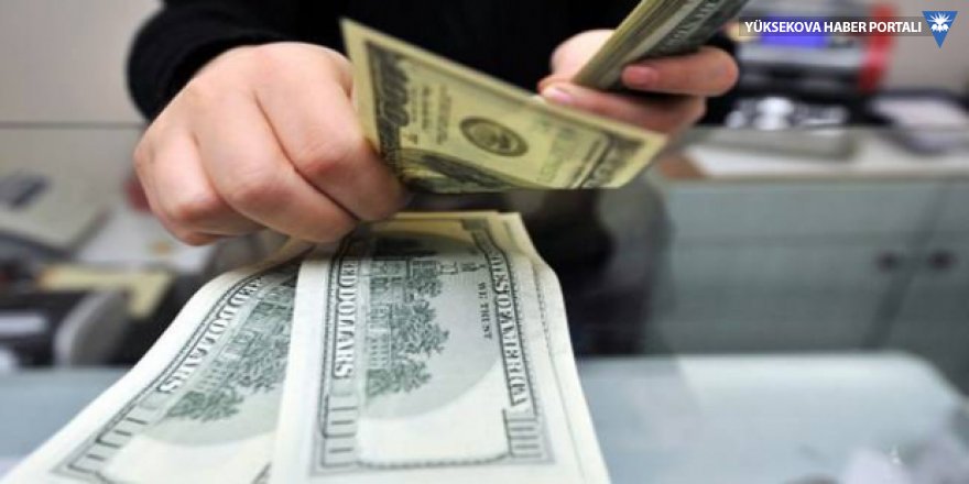 Türk Lirası'nın dolar karşısındaki 8 ayda kaybı yüzde 75'i geçti