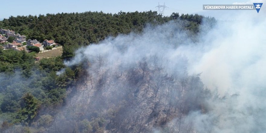 Mudanya'da orman yangını!