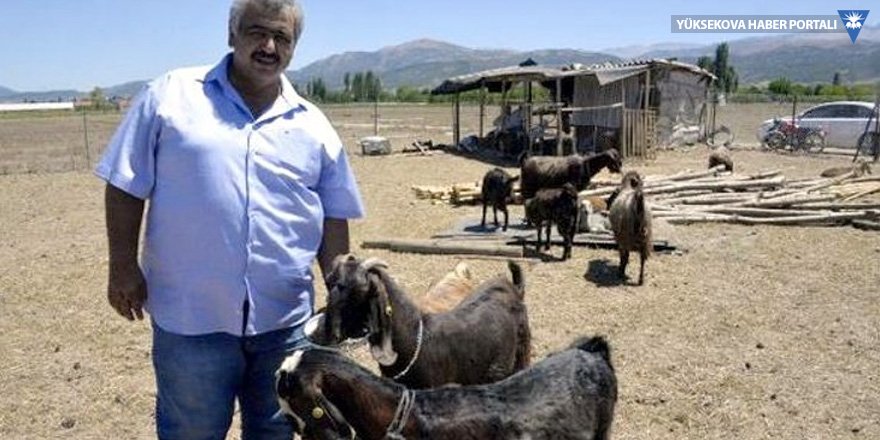 Isparta'da bir amatör kulüp, 18 futbolcu satıp 10 keçi aldı