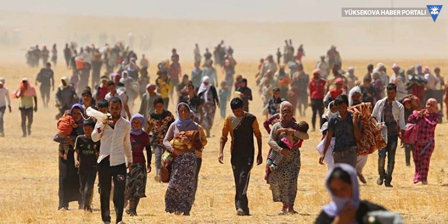 Ezidiler, IŞİD'in kaçırdığı kadınların bebeklerini kabul edecek