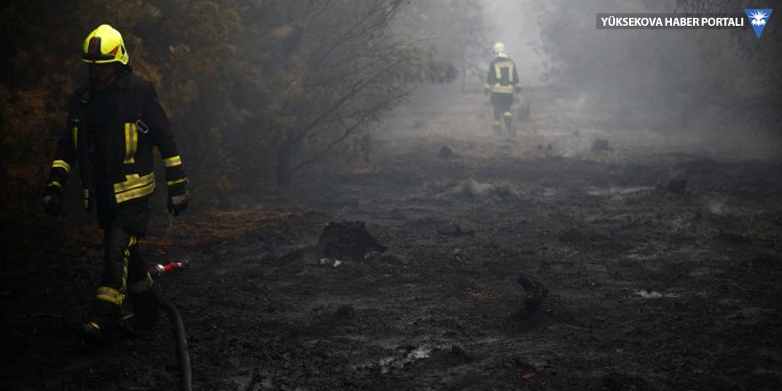 Almanya'da büyük orman yangını