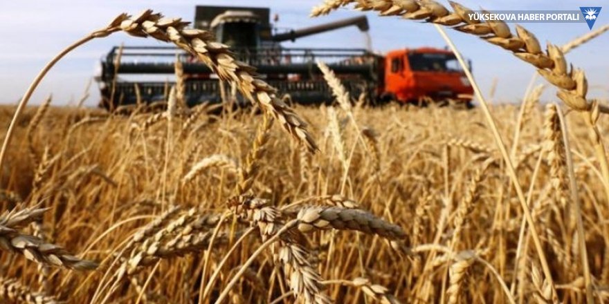 Buğday ihracatçılarının stokları eriyor