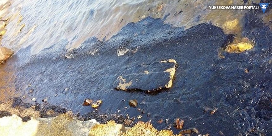 İzmir'deki ham petrol sızıntısı Foça'ya yayıldı