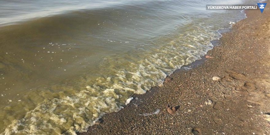 Van Gölü’nde artan kirliliğe tepki