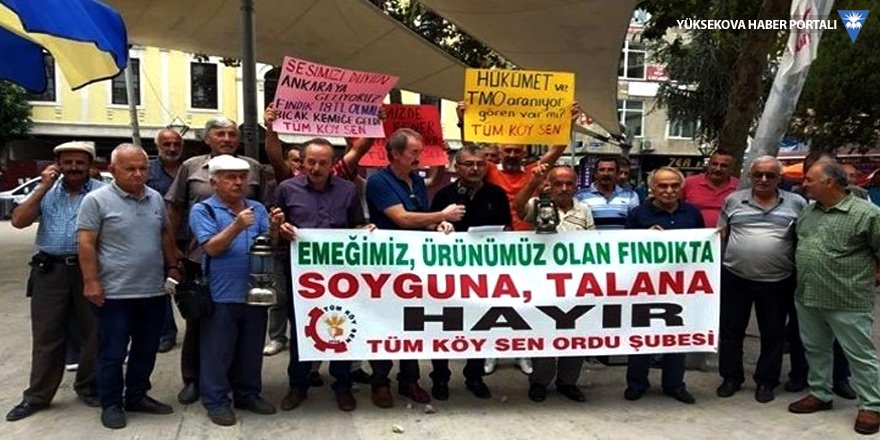Fındık üreticileri Ankara'ya yürüyecek