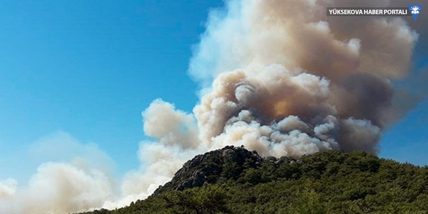 Antalya’da orman yangını: Seralar tehdit altında