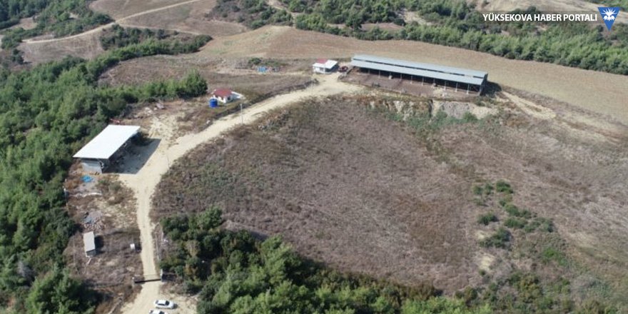 Adana'da çiftlik cinayeti