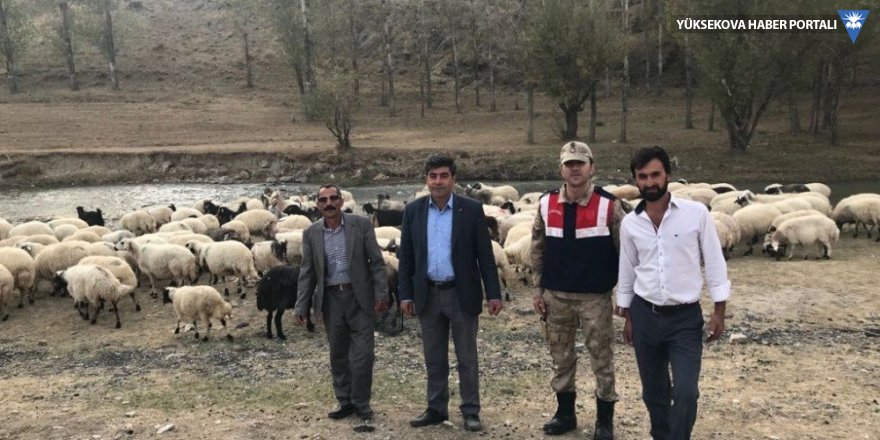 Van'da çobanın ellerini bağlayarak 135 hayvanı çaldılar