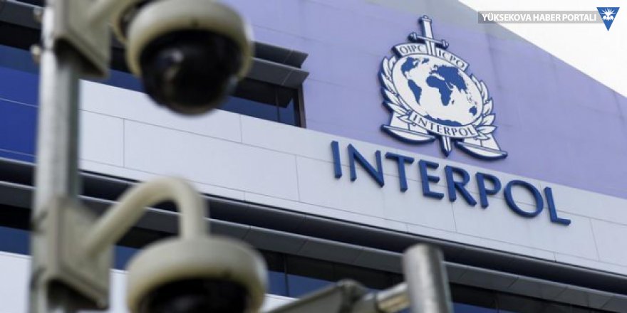 Interpol: IŞİD 2.0 saldırı dalgası yaşanabilir