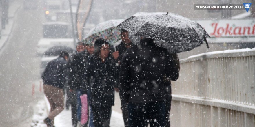 Şemdinli'de soğuk hava yerini kar yağışına bıraktı